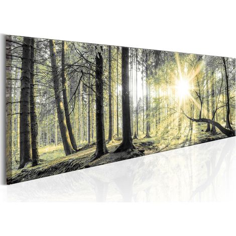 Quadro - Morning Forest - 150x50 (1/4)