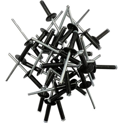 100 rivets eclateurs noirs de 4.8 x 20 plaques d'immatriculation
