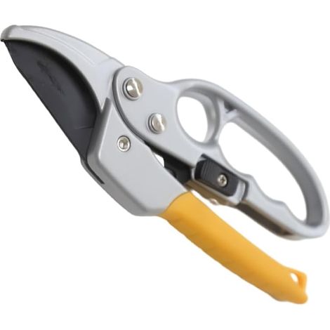 Secateur de Jardin Professionnelle Cisailles à Branches de Fleurs de Jardin de Réparation pour Tailler les Buissons, les Bonsaïs et plus Encore Outil