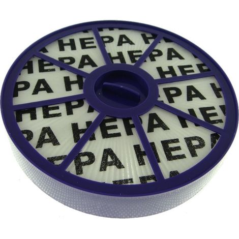 Dyson  DC04/05/08/19/20/21 Hepa Post-Motor Vacuum Cleaner Filter (1/4)