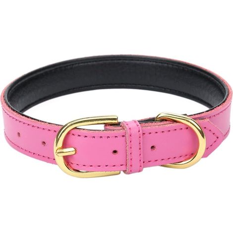 Collier Cuir - Rembourré - Pour Chat Chiot Chien Petite Moyenne Taille - 5 Positions Réglables - S M L (1/5)