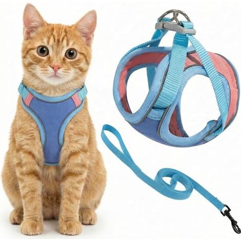 Harnais pour chien - Harnais pour chat - Harnais anti-fugue pour chatons - Laisse assortie incluse - Réglable - Réfléchissant - Facile à enfiler - Taille M - Bleu - Convient aux chiens et chats de pet (1/5)