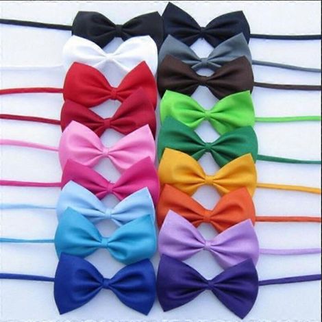Collier pour animal de compagnie (chat/chien) avec nœud papillon et sangle ajustable (1 pièce). Accessoires pour animaux de compagnie. (1/4)