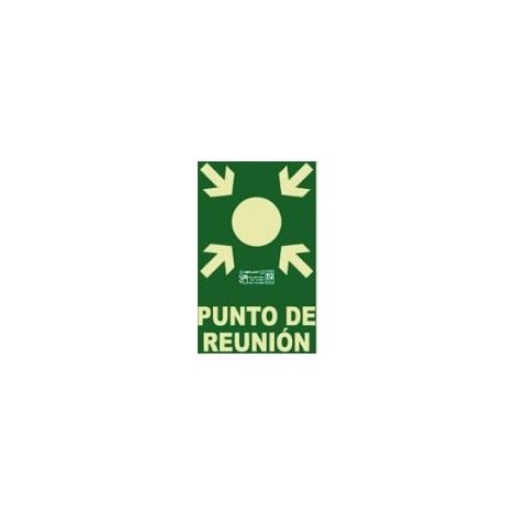 SEÃ‘AL A4 CLASE B FOTOLUMINISCENTE PVC PUNTO DE REUNION - METALICAS JULIO GARC