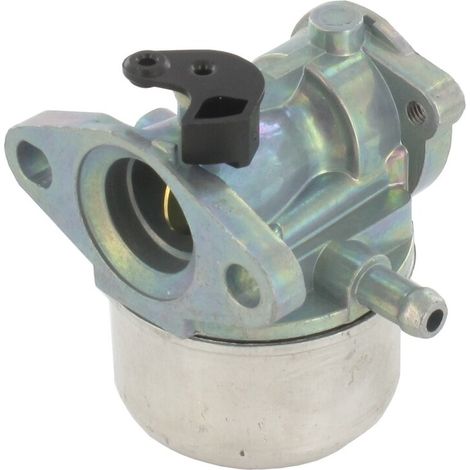 Vergaser BRIGGS ET STRATTON 799868