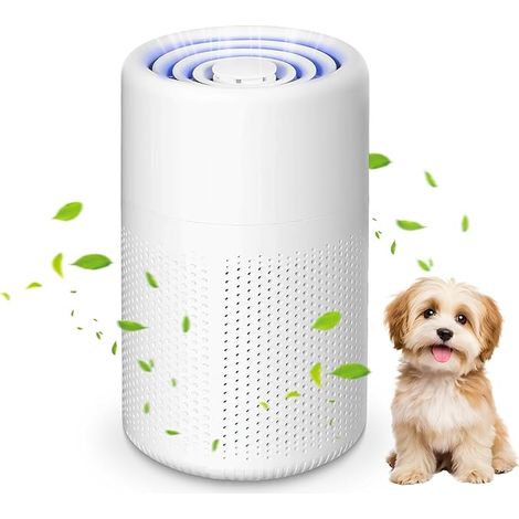 Purificateur d'air Chambre, H13 HEPA Purificateur éliminant de la poussière, de la fumée et des odeurs d'animaux, Air Purifier avec éponge parfumée, Air Purifier HEPA pour Maison Bureau