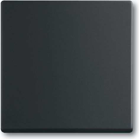 Placca di finitura Busch-Jaeger future linear IP20 verniciata (1/2)