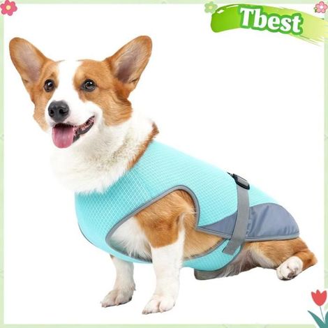 Tbest Gilet de refroidissement pour chien Gilet rafraîchissant pour chien, veste animalerie blouson Bleu clair S pour Bleu clair L (1/5)