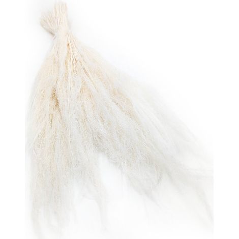 Agrostis seca - Hierba de agrostis - Blanqueada