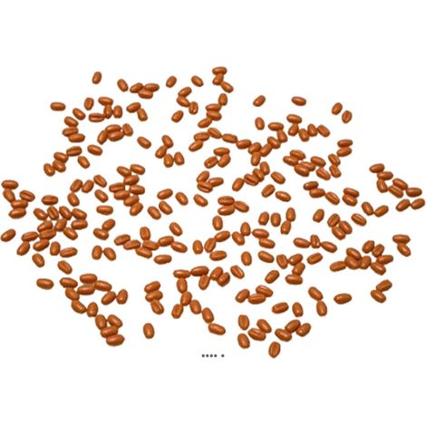 20 grammes Grains de Blé Artificiels : Décoration Factice pour scènes champêtres (1/3)