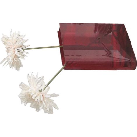 Vase en forme de livre, bel objet de décoration pour la pièce, effet artistique et culturel, vase décoratif en forme de livre pour la maison, la chambre, le bureau, rouge (lettres blanches) (1/5)