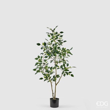 EDG Enzo De Gasperi Pianta Artificiale Ficus Vogue con Vaso H120 cm – Pianta Decorativa Realistica Design Moderno