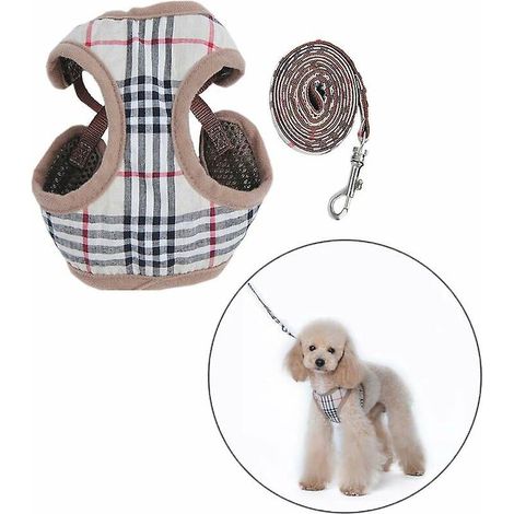 m-petit Chien Harnais Et Laisses (1/5)