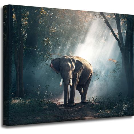 Leinwanddruck Tiere Elefant 50x40 cm