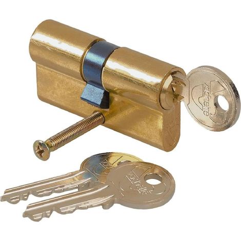 Cylindre de Serrure Mécanique pour Porte - Double Entrée 30x40mm - Mécanisme 5 Goupilles Sécurisé - 3 Clés - Installation Facile - Finition Laiton (1/5)