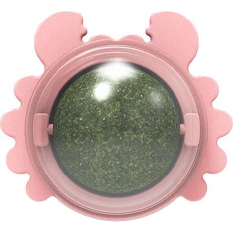 Boule d'herbe à chat, jouet pour chat, plaisir personnel, artefact pour animaux de compagnie, bâton amusant à lécher, jouet résistant aux morsures (1/5)