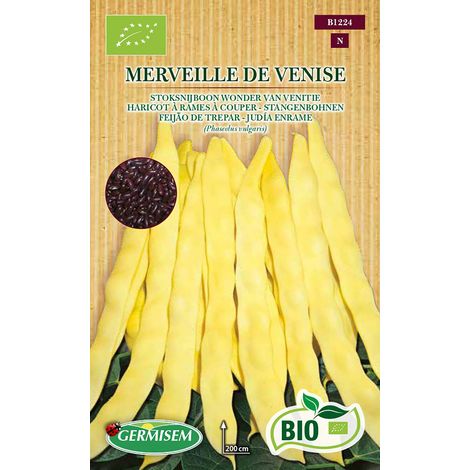 Graines Haricot à rames à couper MERVEILLE DE VENISE (1/2)