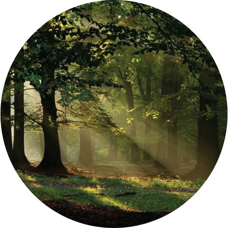 papier peint panoramique rond adhésif paysage boisé vert - Sanders & Sanders (1/4)