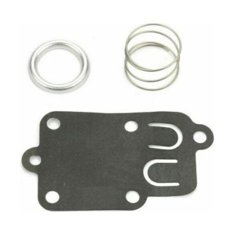 Kit de réparation de carburateur compatible avec Briggs & Stratton 270026 272538S 272637. (1/4)