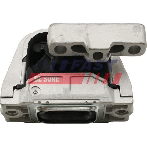 Soporte de motor rápido FT52035 PR (1/2)
