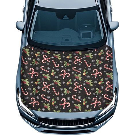 Housse Pour Capot Automobile - Polyester Extensible 100 x 150 cm - Protection Contre Les Rayures Et Les Intempéries - 1 Pièce (1/5)