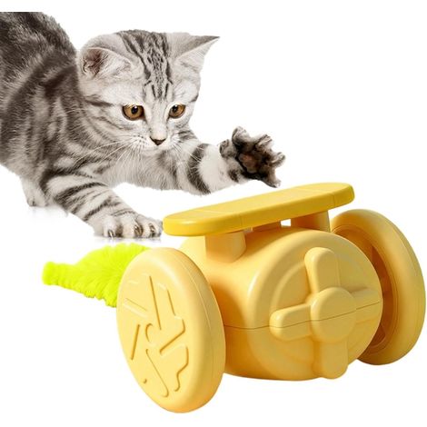 pour Chats d'intérieur Véhicule électrique à Queue oscillante Mini voiture de jeu pour chat et pour animaux Pour petits, moyens, grands, intérieur, extérieur, maison, voyage (1/5)
