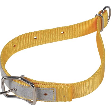 Collier pour chien en nylon jaune – Ajustable – Anneau D pour longe – Longueur 65 cm, largeur 2.5 cm – Kamer
