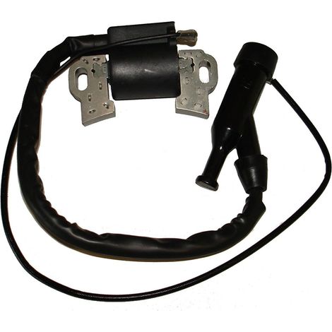 Filter Remplacement Bobine d'allumage pour Honda GX390 188 F Moteur Générateur Tondeuses