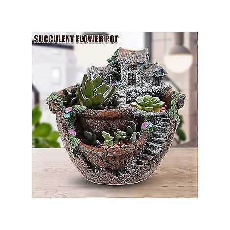 Jardin suspendu créatif pour succulentes, assiette à succulentes, pot de fleurs