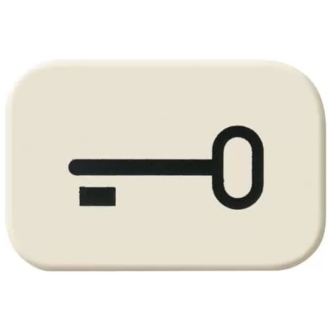Busch-Jaeger 2525 TR Tastersymbol Schlüssel (1/2)
