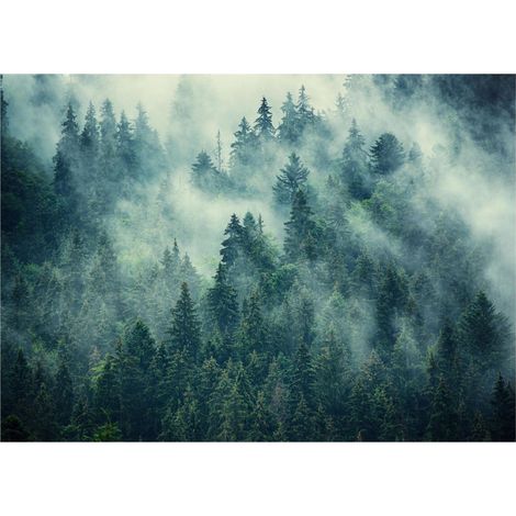 Papier peint panoramique forêt dans la brume verte décoration murale – 150 x 105 cm Wallarena (1/4)