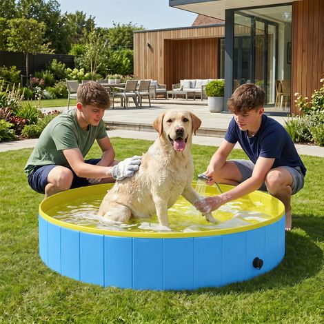 Piscine pliable pour chiens de grande et très grande taille, avec fond antidérapant, pour une utilisation intérieure et extérieure, 160 x 30 cm (1/5)