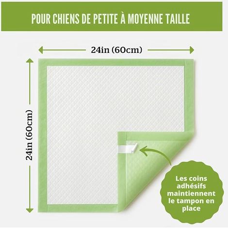 Training Pads for Dogs - Eco-Friendly, Absorbent and Odour Resistant - 40 (60 × 60 cm) (1/5)