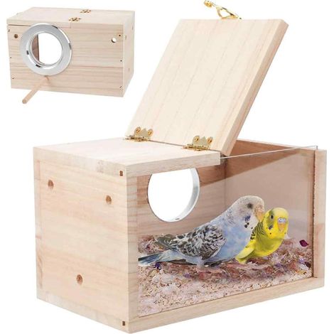 Nichoir à perruches et calopsittes en pin naturel et acrylique transparent avec planche en bois amovible pour inséparables, calopsittes, perruches, conures, perroquets, taille L (1/5)