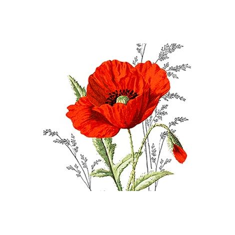 Braun & Company Servietten Roter Mohn, 33 x 33 cm 20er Pack Tischservietten
