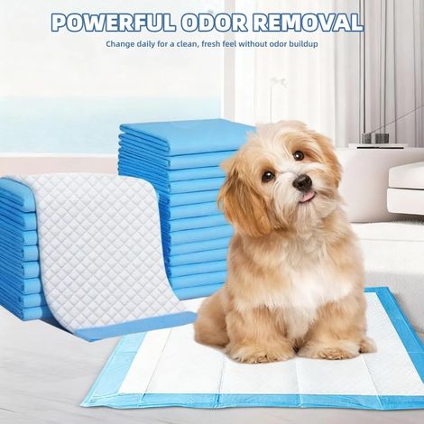 Tapis de Dressage pour Chiot et Chien 33x45 cm - Alèse Absorbante Haute Performance - Lot de 100 Pièces (1/5)