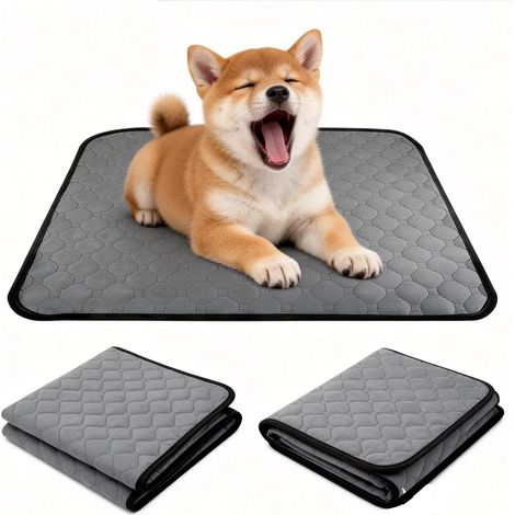 Lot de 2 Tapis Chien Lavable, Absorbant Anti-Fuites, Polyester Antidérapant, Pour Chiot et Senior (1/5)