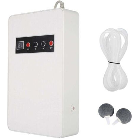 Générateur d'ozone 50Hz 600 mg/h, ozonateur pour eau domestique, aliments et légumes (blanc), prise ue 220V (1/4)