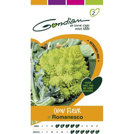 Gondian - Chou Fleur Romanesco (1/3)