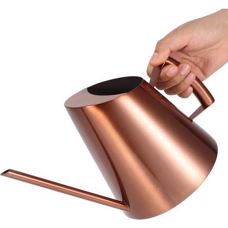 Arrosoir Pot Solide en Acier Inoxydable avec Bec Long pour Bonsaï Intérieur Plantes Jardin Vert Plante Fleur Arrosage Bouilloire Multiple Capacité en Option(900ml) (1/5)