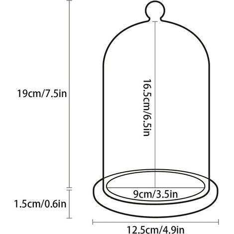 Cloche en verre décorative avec socle bambou - Dome de préservation pour fleurs, décorations et collections précieuse - H: 20.5cm, diamètre: 12.5cm (1/5)
