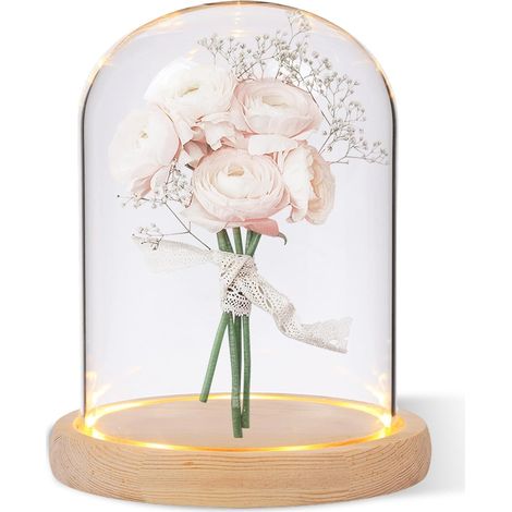 Cloche en Verre avec Socle en Bois Naturel, Mini Cloche en Verre Transparent, Décorative Transparente avec Fond en Bois pour Lumières, Décorations De Table, Antiquités (1/5)