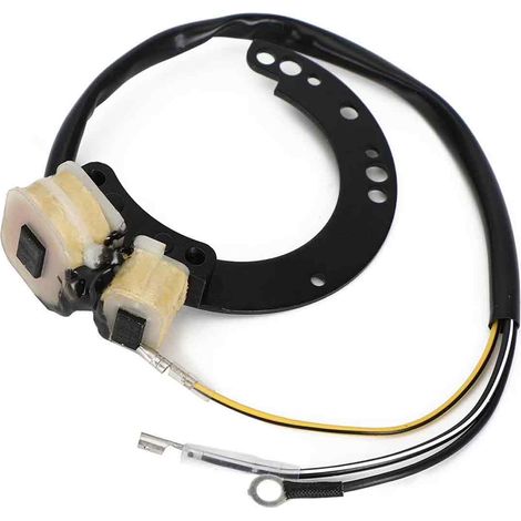 Stator - Pour Moteur 2 Cylindres 6 À 40 Ch - Compatible Installation Mécanique Originale - 1 Pièce (1/5)