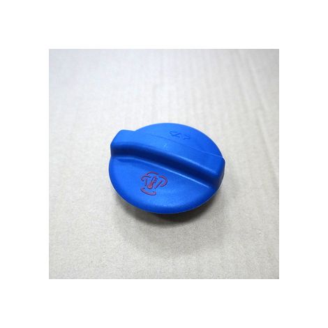 Bouchon de vase d'expansion pour réservoir de liquide de refroidissement antigel supplémentaire pour chauffe-eau. Compatible avec Chery Karry K50 K50S.