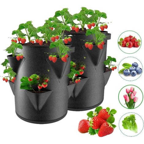 Sac de culture printanier pour fraisiers (noir, 10 gallons, 40 x 35 cm) - Pot de culture pour plantes - Sac de plantation à plusieurs ouvertures pour jardin et terrasse (1/4)