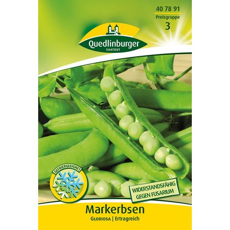 Quedlinburger Markerbsen Gloriosa - Gemüsesamen (1/2)
