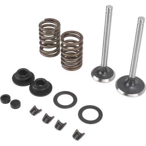 Ensemble de rondelles élastiques et clips de verrouillage en fer résistant à l'usure et à la corrosion pour vannes de micro-barboteuse et générateur (1/5)