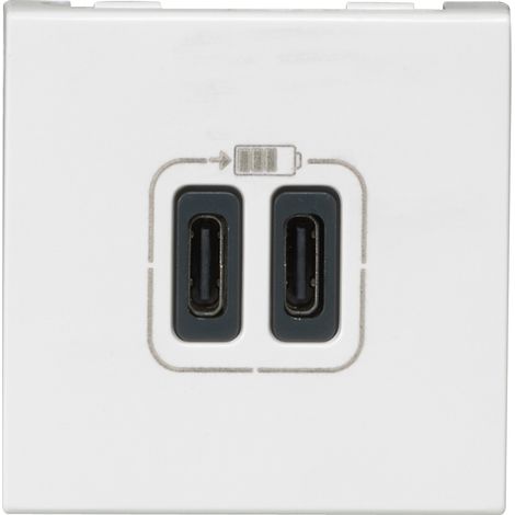 Legrand – Prise double USB Type-C Mosaic 3A 2 modules – Charge rapide pour smartphones et tablettes – Installation simple avec connexion Phase-Neutre (1/6)