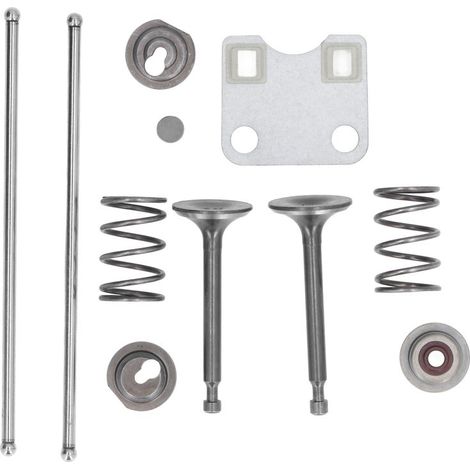Beyamis Kit valvole motore GX160 GX200 – coperchio di protezione + molle, 5.5 HP 6,5 HP, sostituzione 14791-ZE1-010 (1/5)