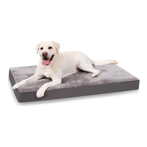 Panier Chien XXL, pour Chien Grande Taille, 119x73cm, Gris Foncé Coussin Déhoussable, Lit Chien Orthopédique, Tapis Chien avec Housse Amovible et Lavable en Machine, Fond Antidérapant (1/5)